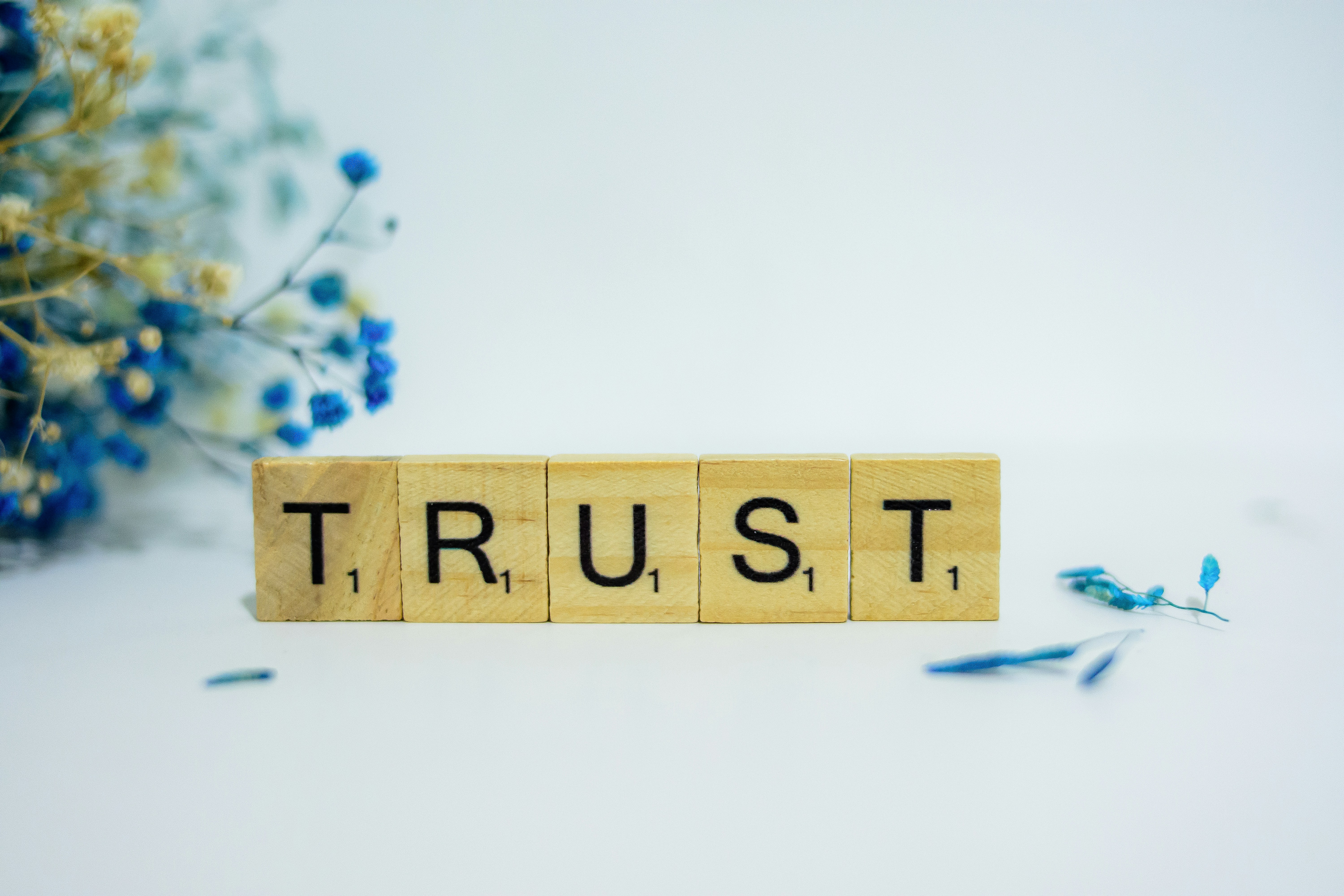 Build Trust